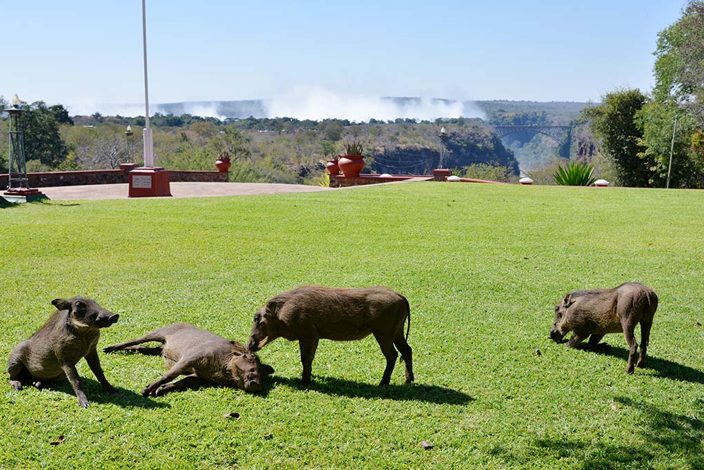 Location - The Victoria Falls Hotel